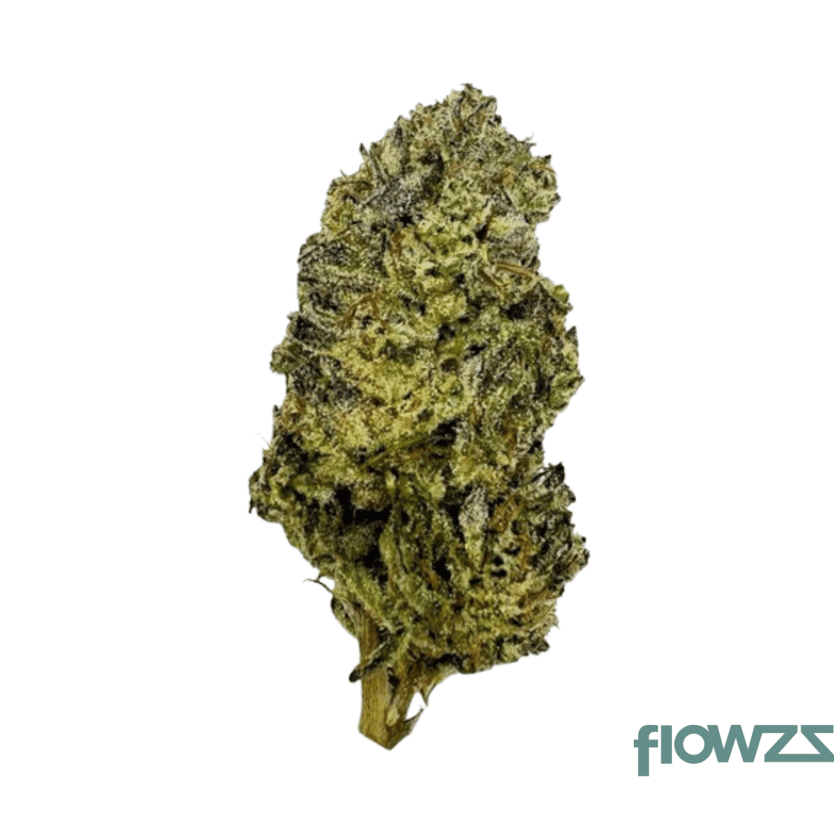 nice-24-1-hbr-hashburger