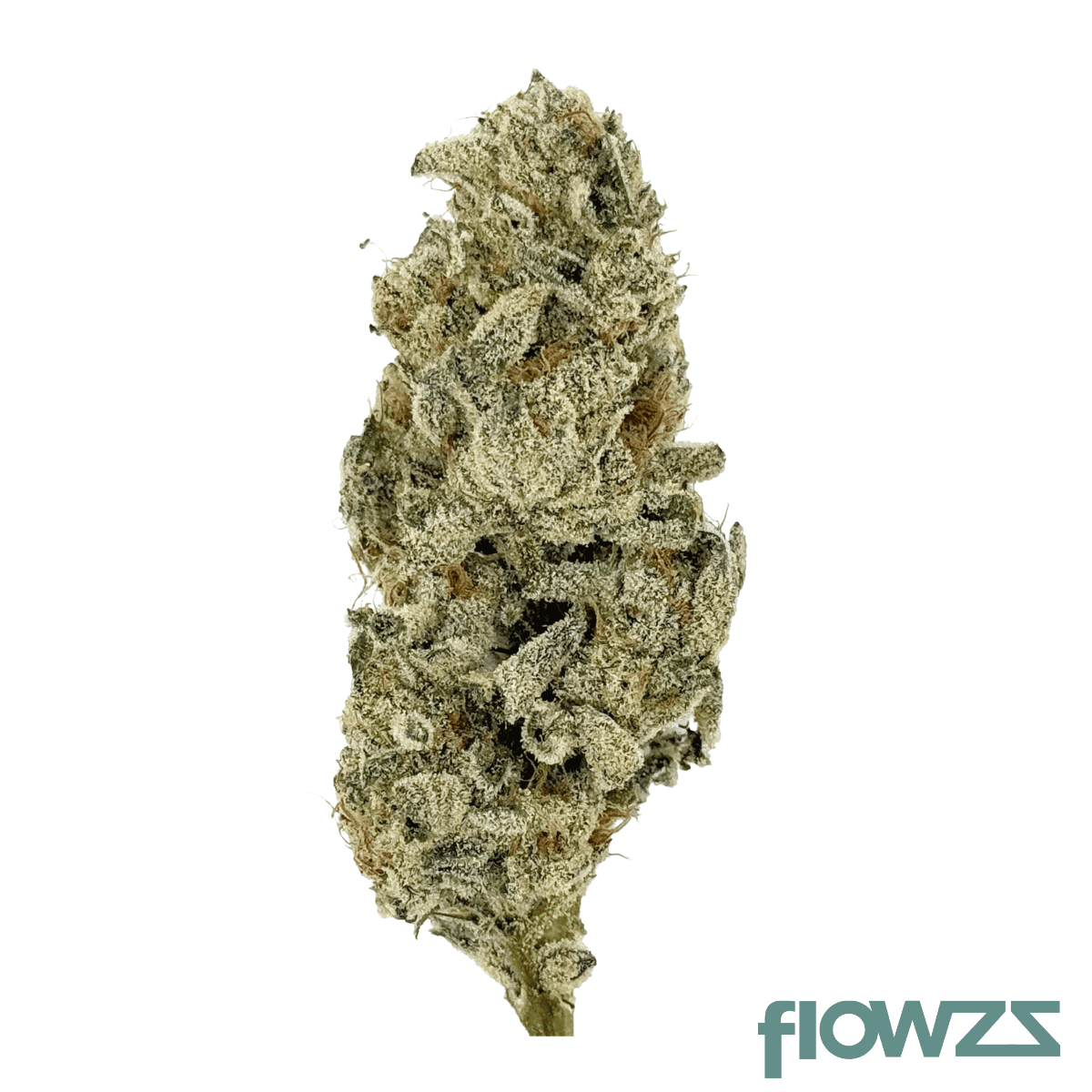 nice-30-1-wcr-wedding-crasher