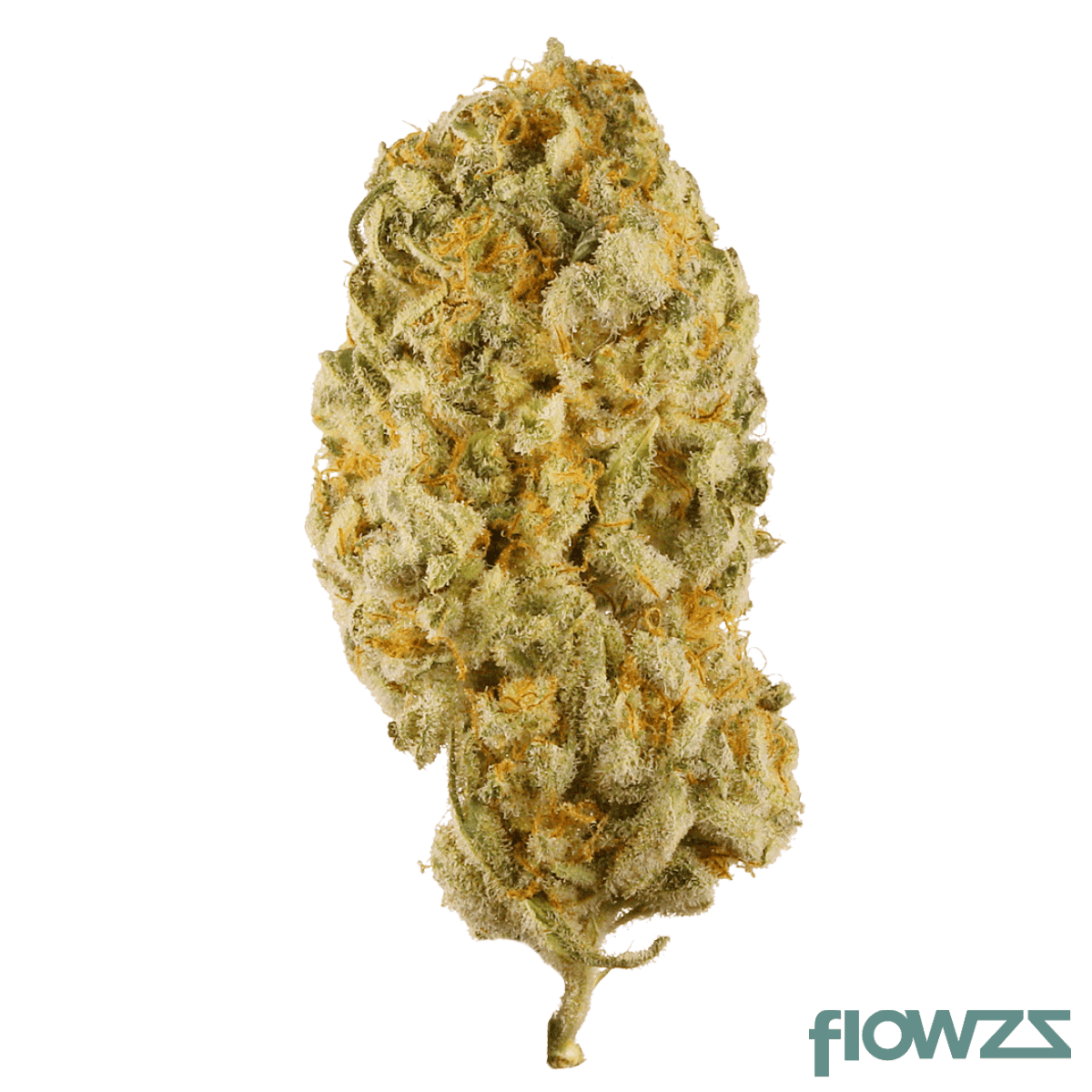 czechout-18-1-jck-jack-herer