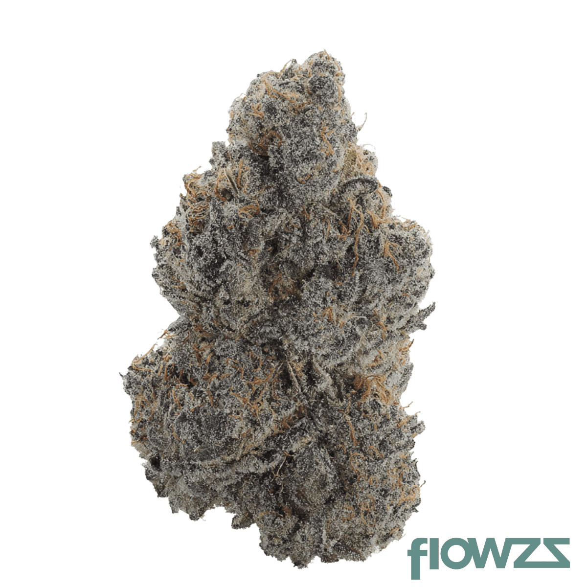 remexian-24-1-gjy-pph-pink-punch