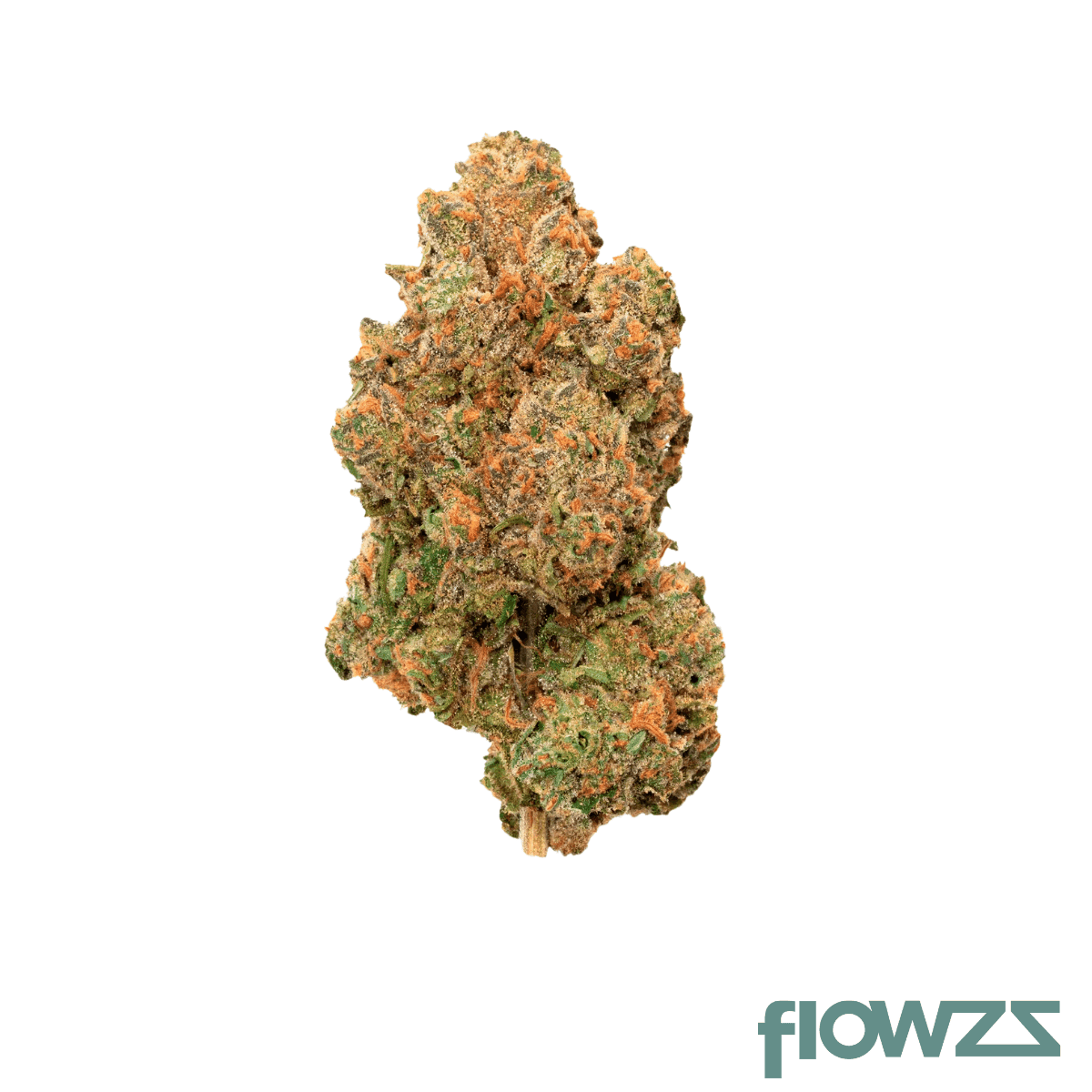 medical-saints-21-1-opi-orange-pie