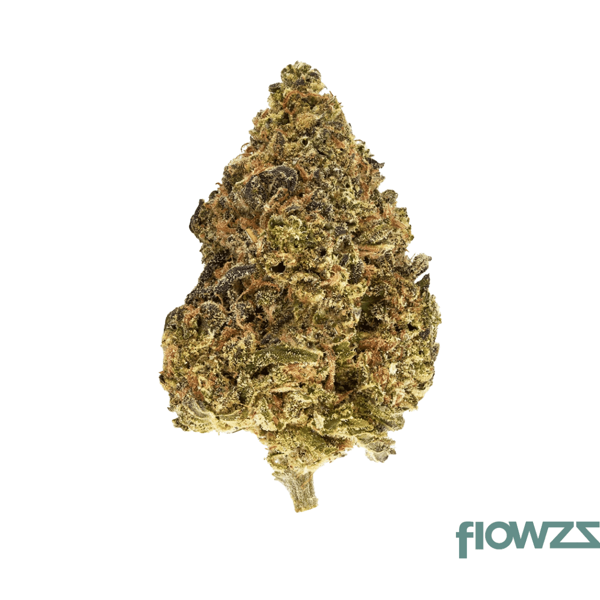 wildlife-28-sck-can-sun-county-kush