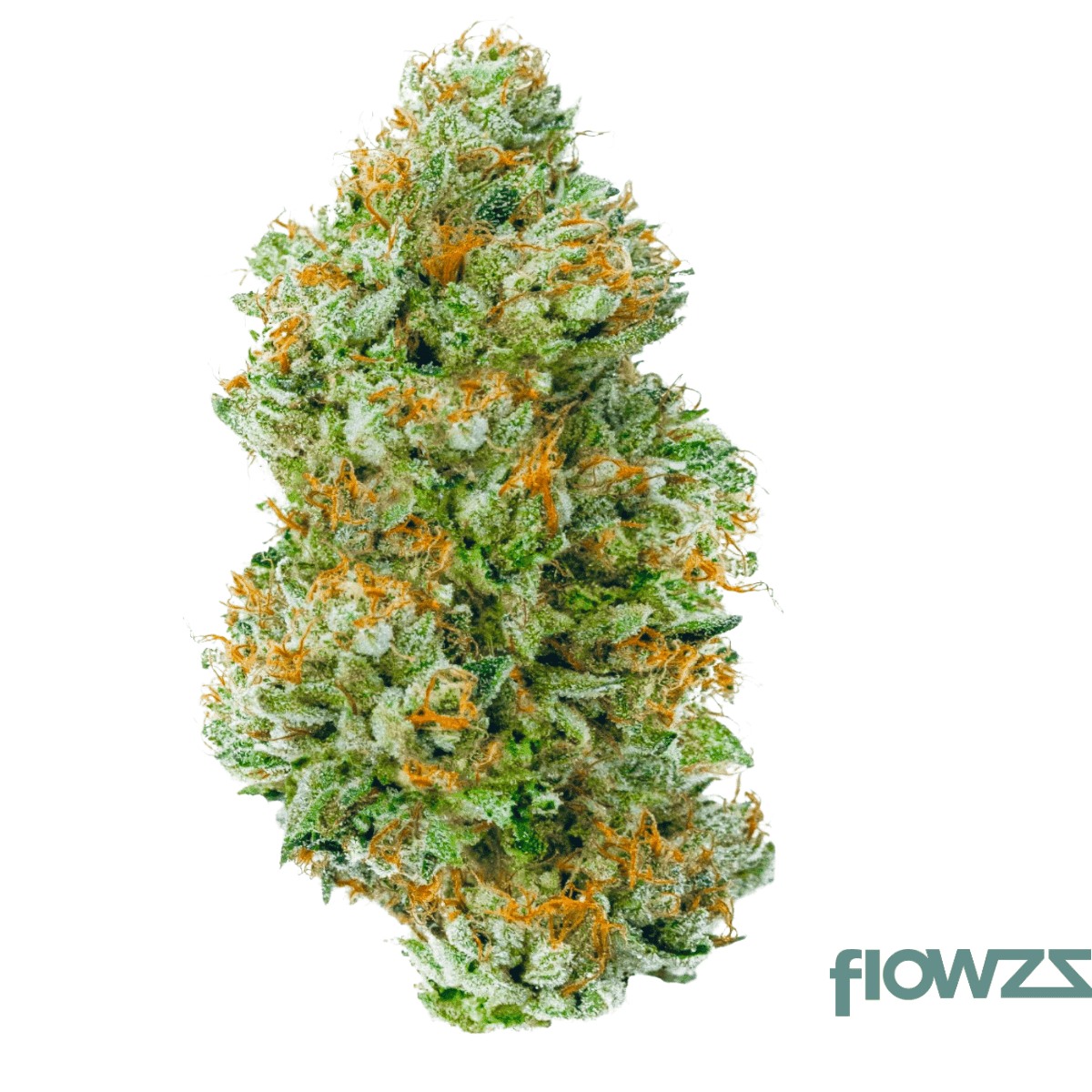 imc-b1-thc24-london-citrus-cake