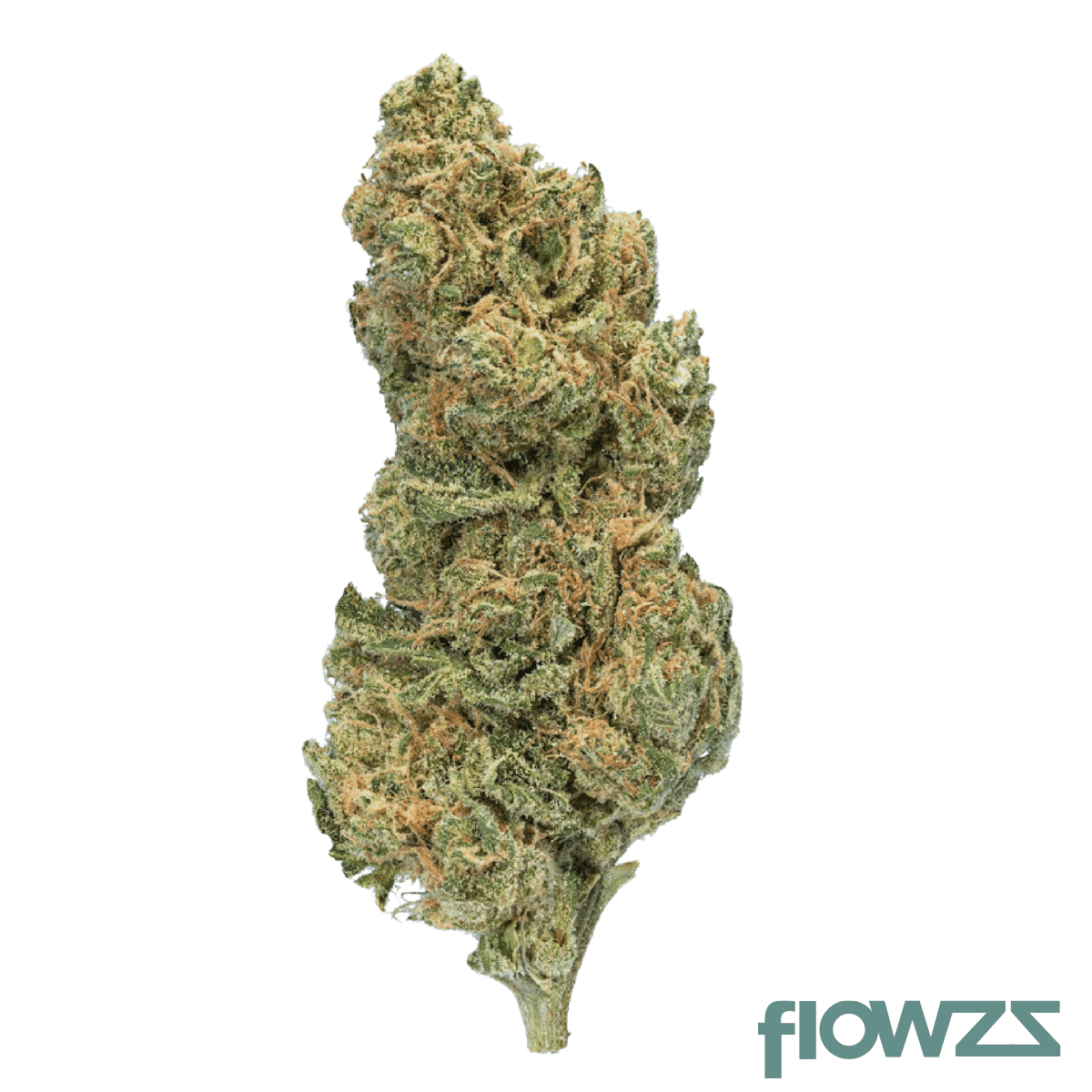 enua-25-1-e85-g13-ultra