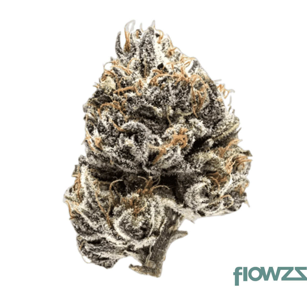 remexian-30-1-hcc-ank-animal-kush