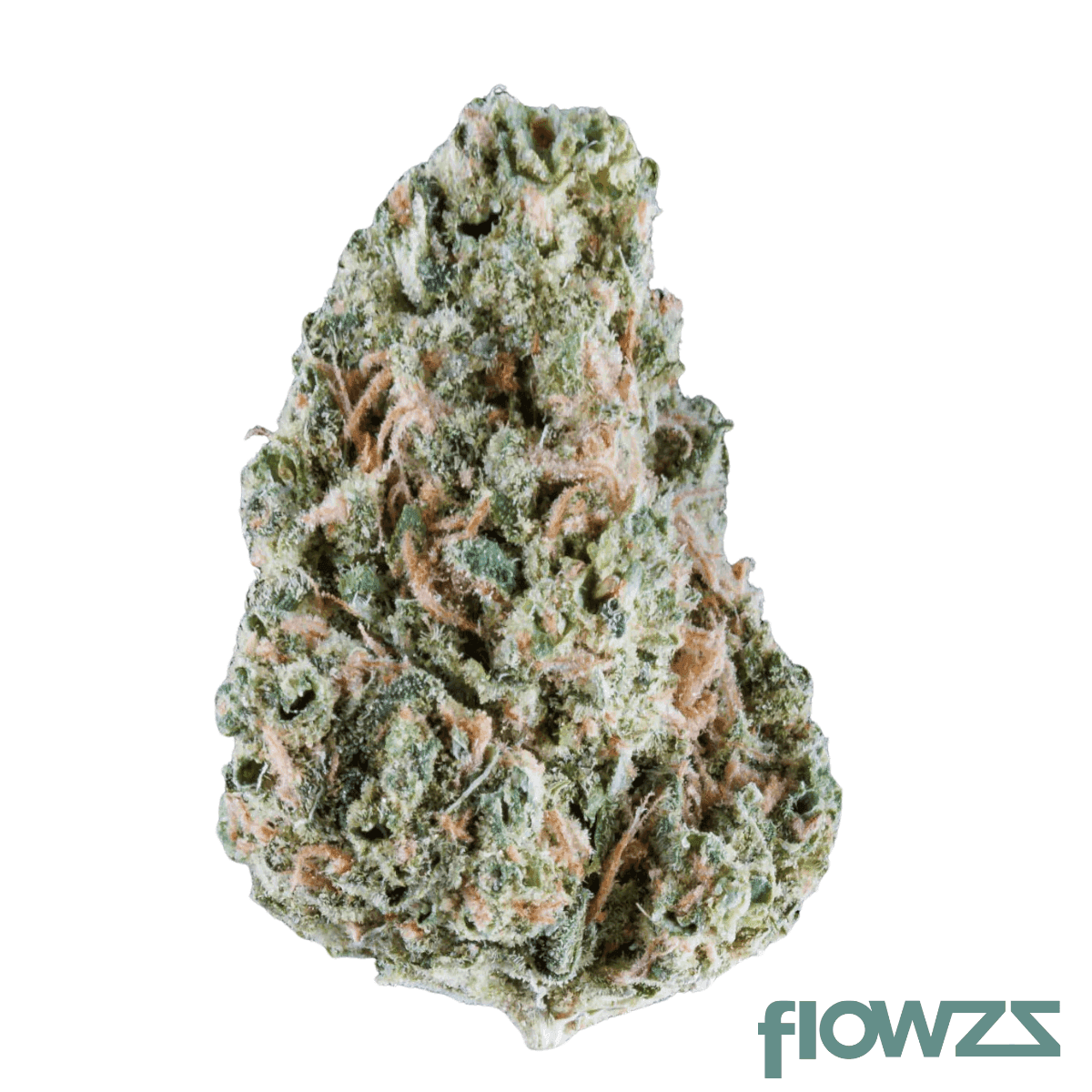 nice-18-1-ser-seriotica