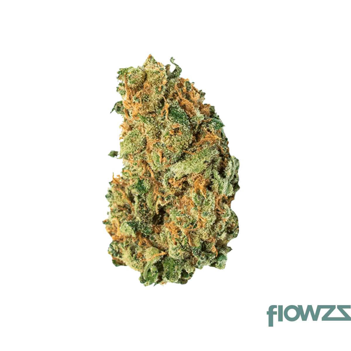 avaay-signature-23-1-lem-lemon-loaf