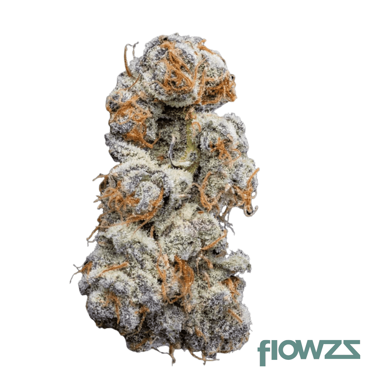 nice-20-1-apl-apple-fritter-x-oreoz