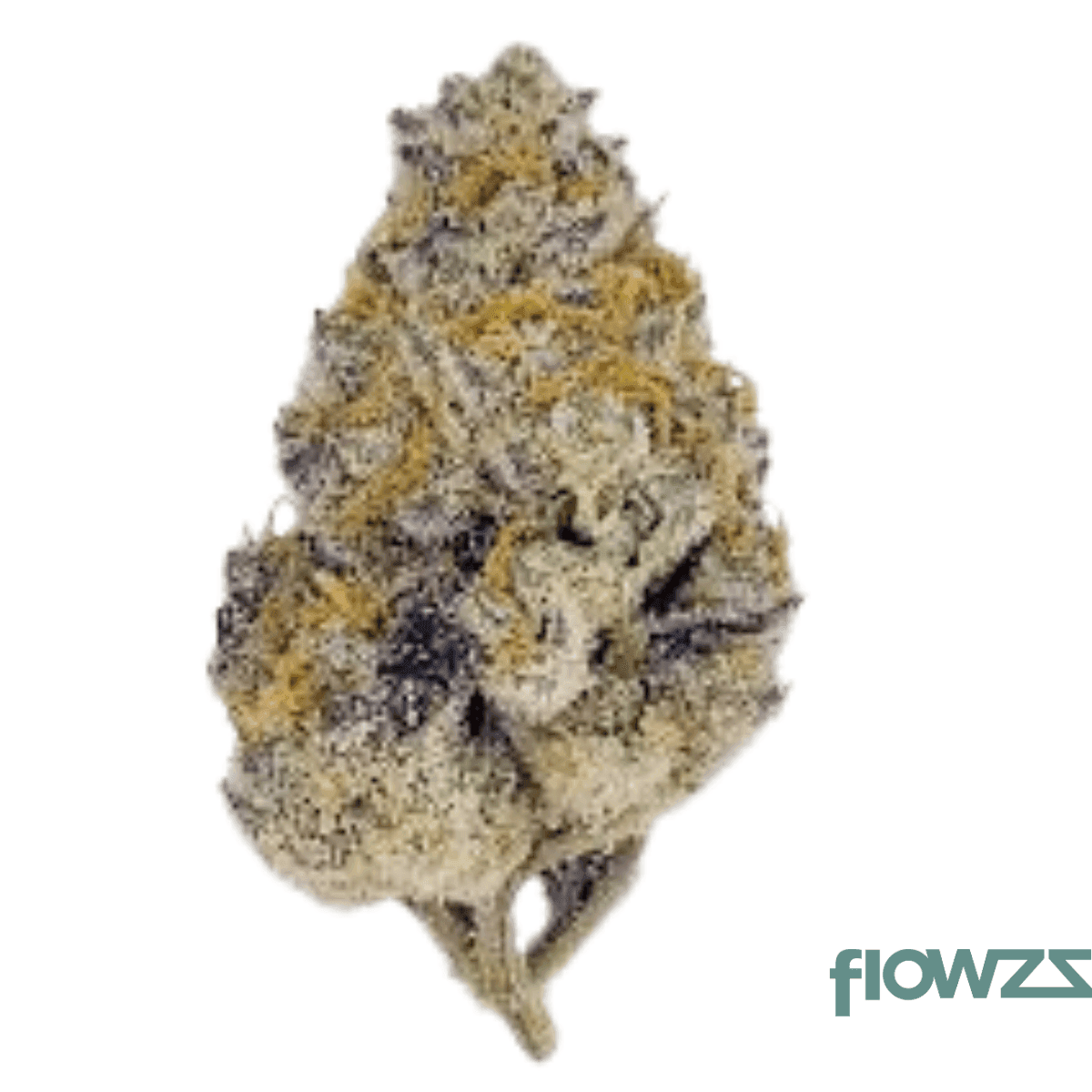 nice-30-1-wcr-wedding-crasher