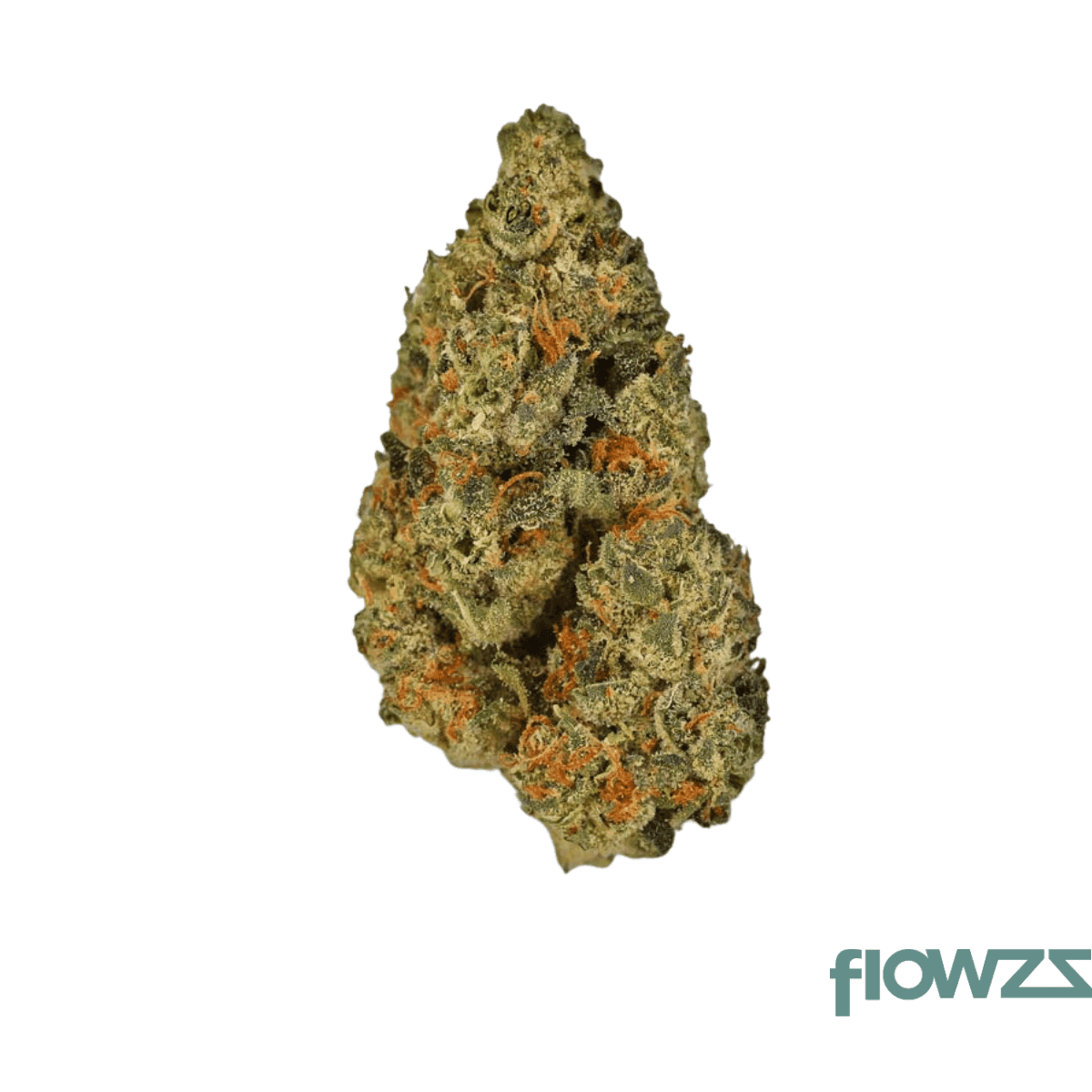 luana-20-1-donny-b-bunatic