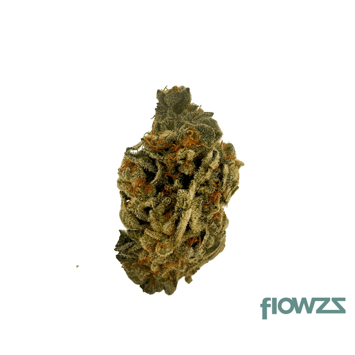 sibanax-gmo-zkittlez-26-1