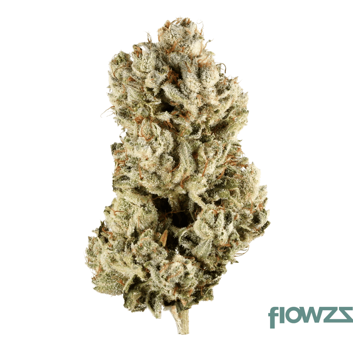 cookies-2-0-medellin-26-1-can