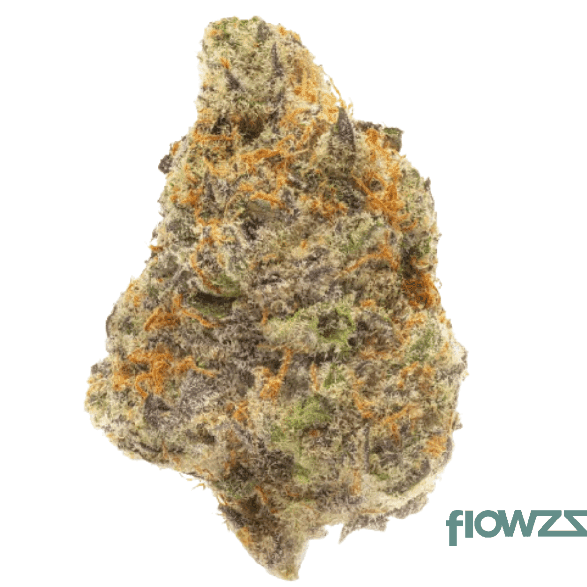 beacon-wp-25-1-blueberry-pancakes