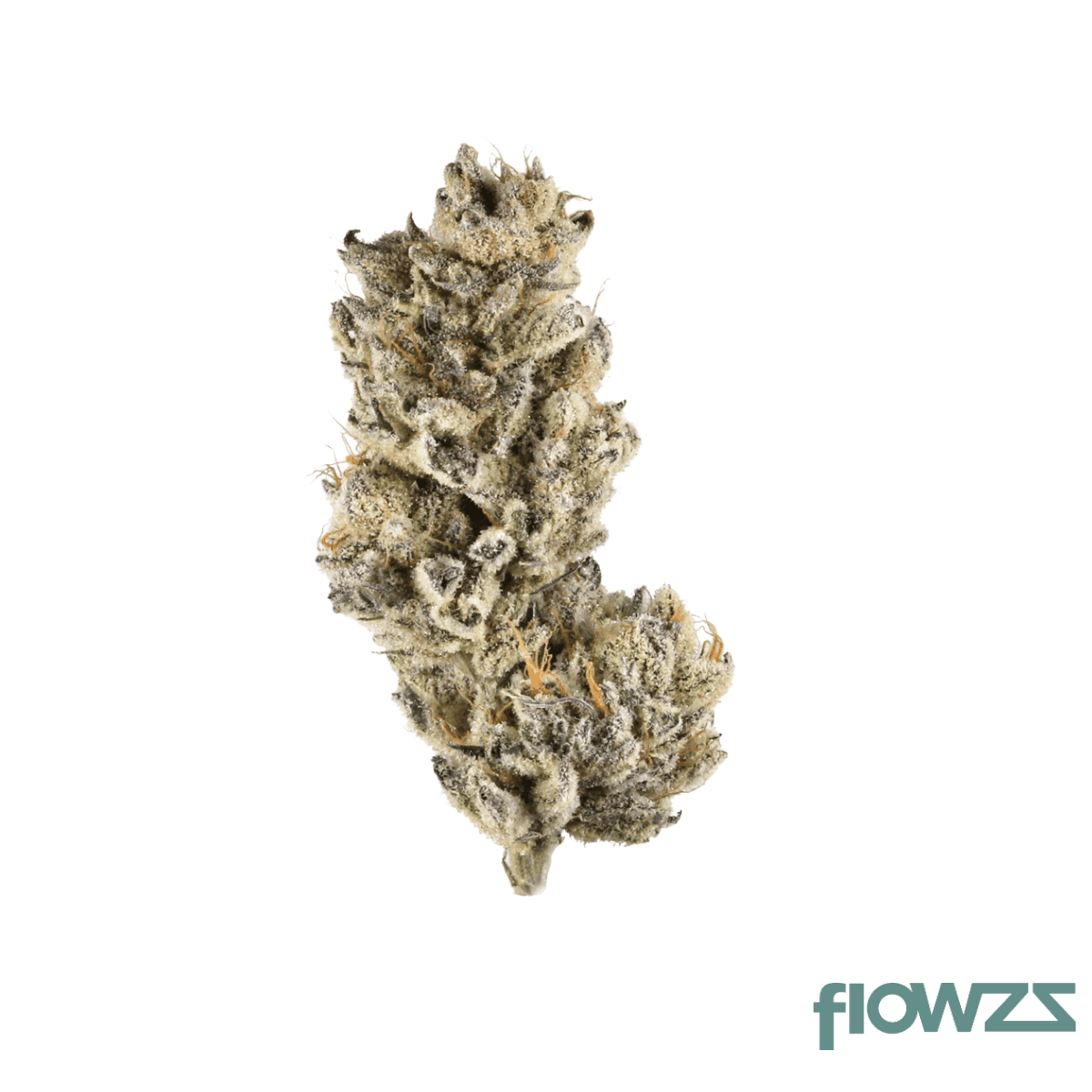 28-1-amici-rv-red-velvet