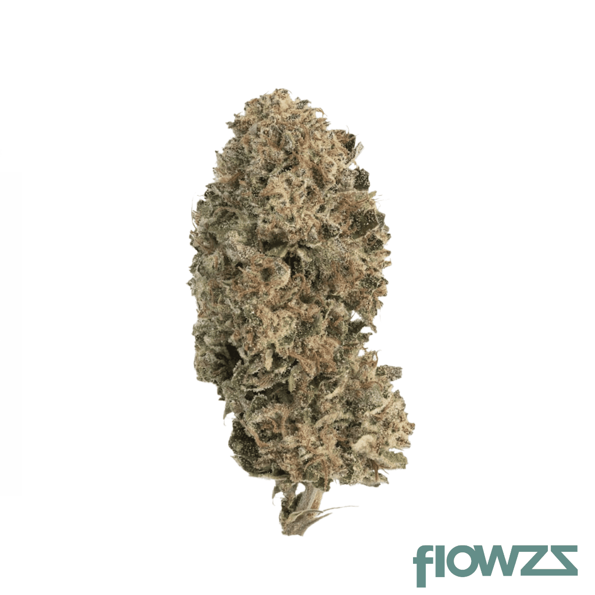 cannamedical-cm-28-1-poddy-mouth