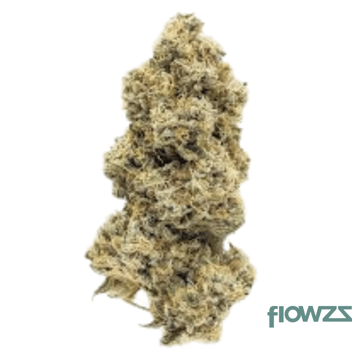 imc-b2-thc20-token-sour-splash