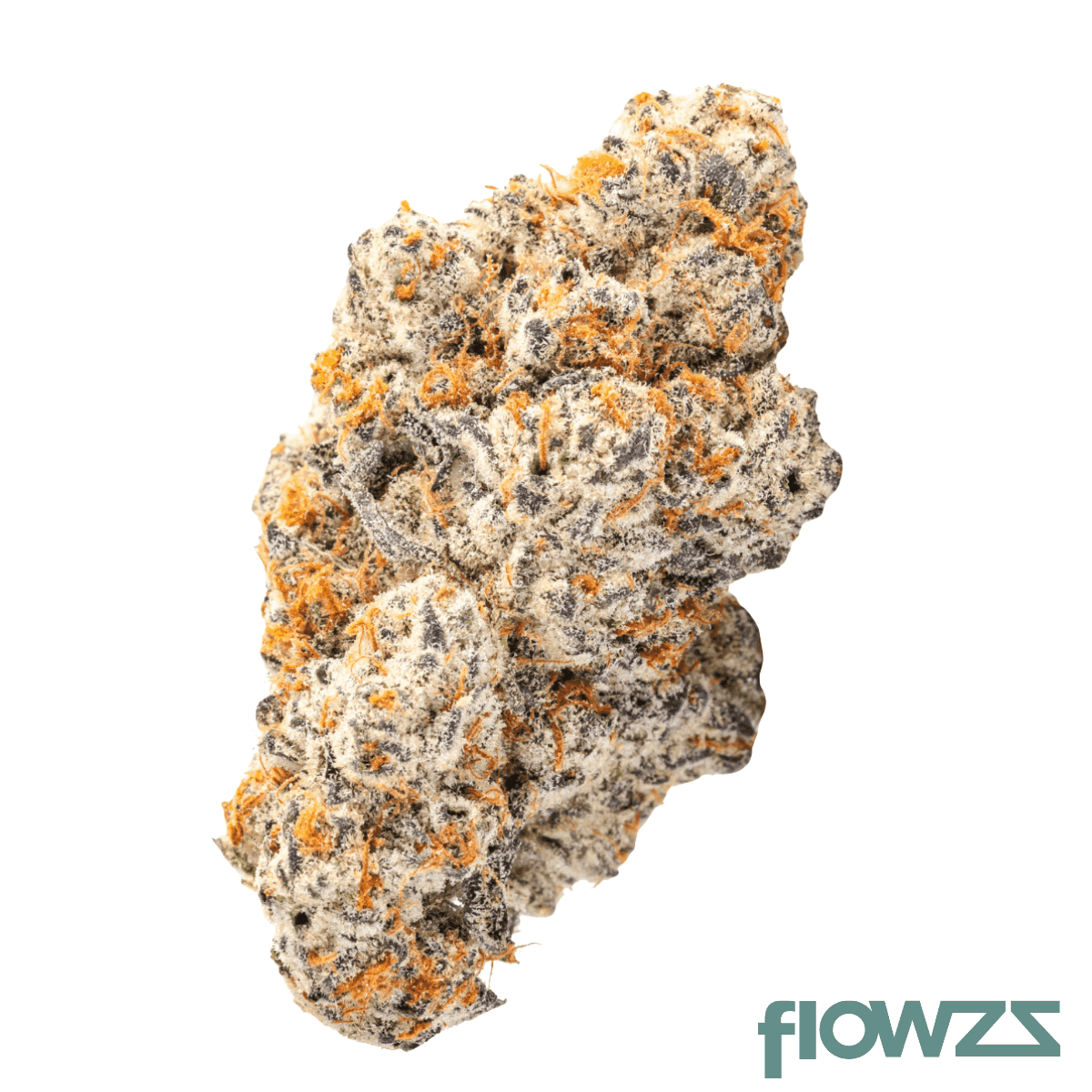 28-1-amici-rv-red-velvet