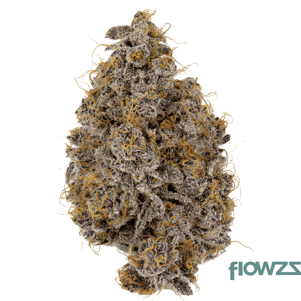 imc-dp-thc22-mids-deep-plum