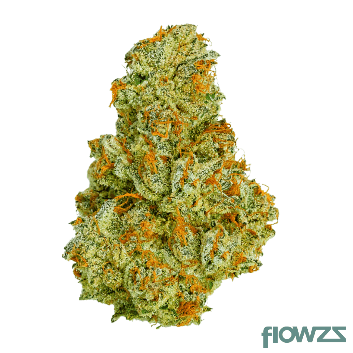 medical-saints-21-1-usr-ultra-sour