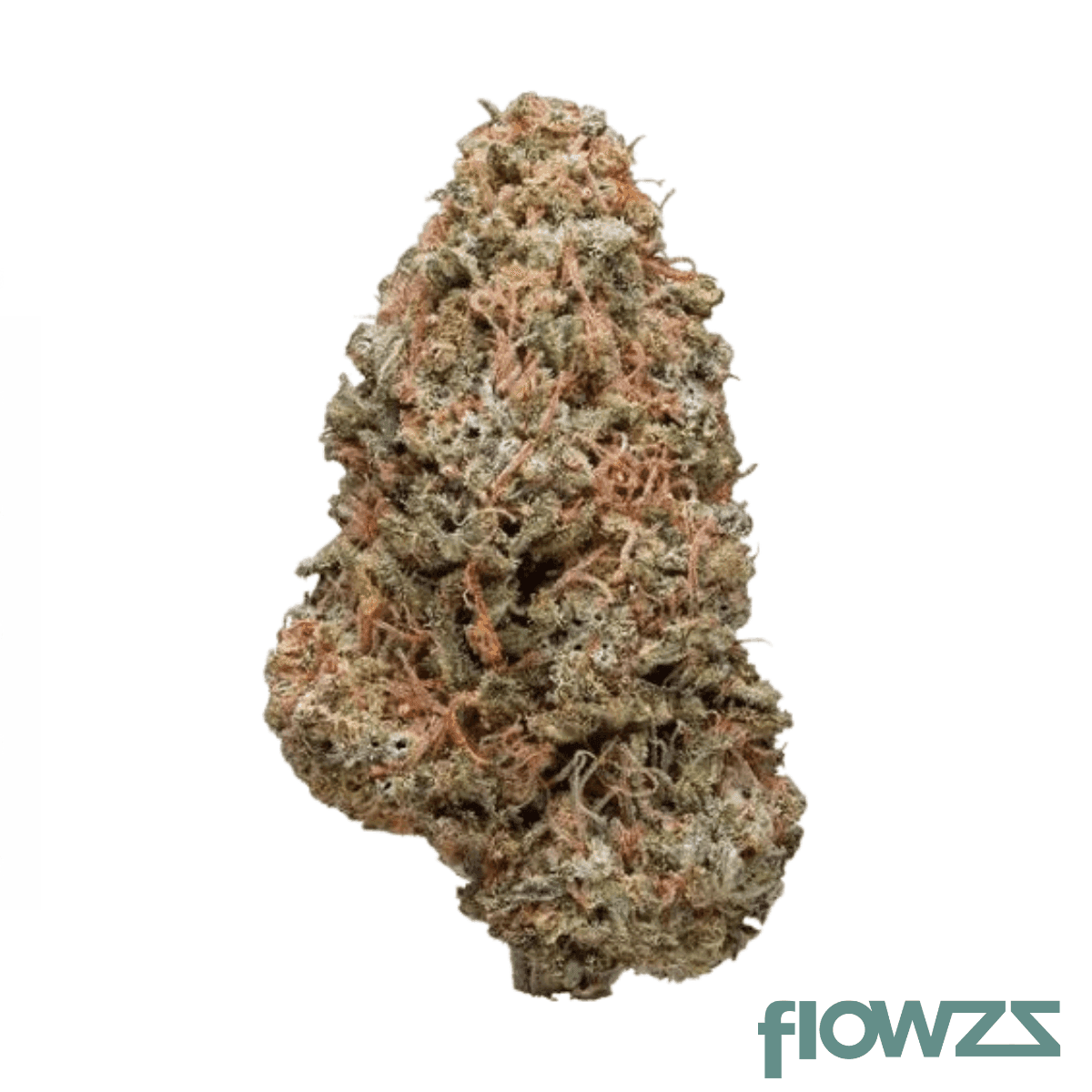 czechout-24-1-pmm-permanent-marker