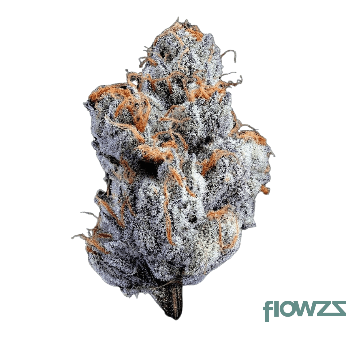 remexian-24-1-irc-vvp-velvet-pie