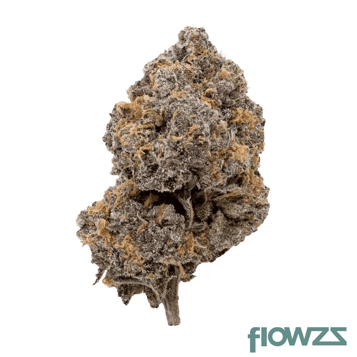 drwatson-19-day-df-aus-da-funk