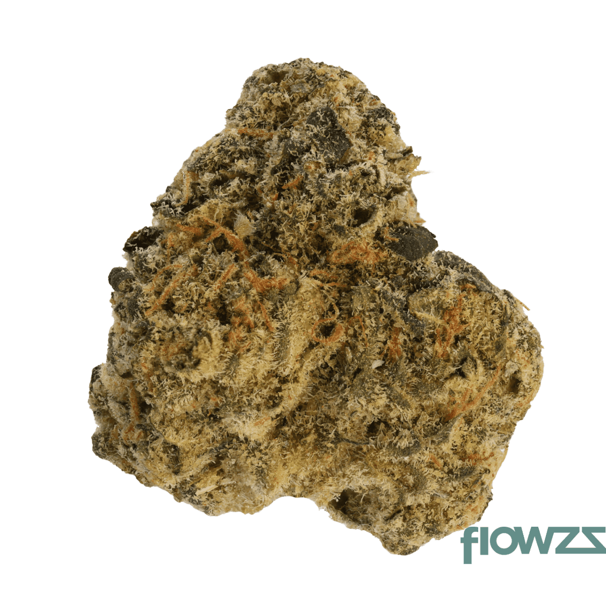 greyscale-hf-27-1-hawaiian-faanta