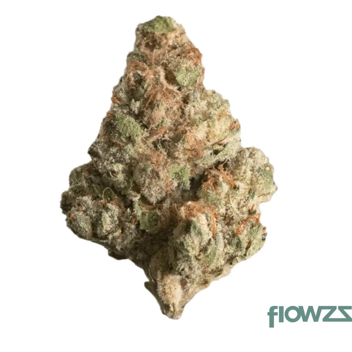 amici-24-1-bh-blueberry-headband