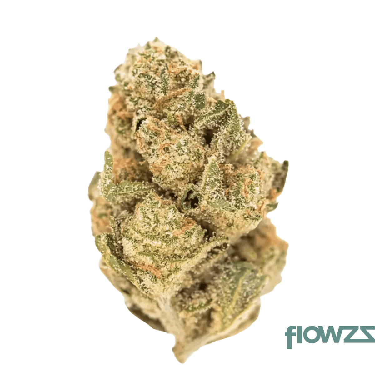 mc-regular-drop-gmo-x-jet-fuel-gelato