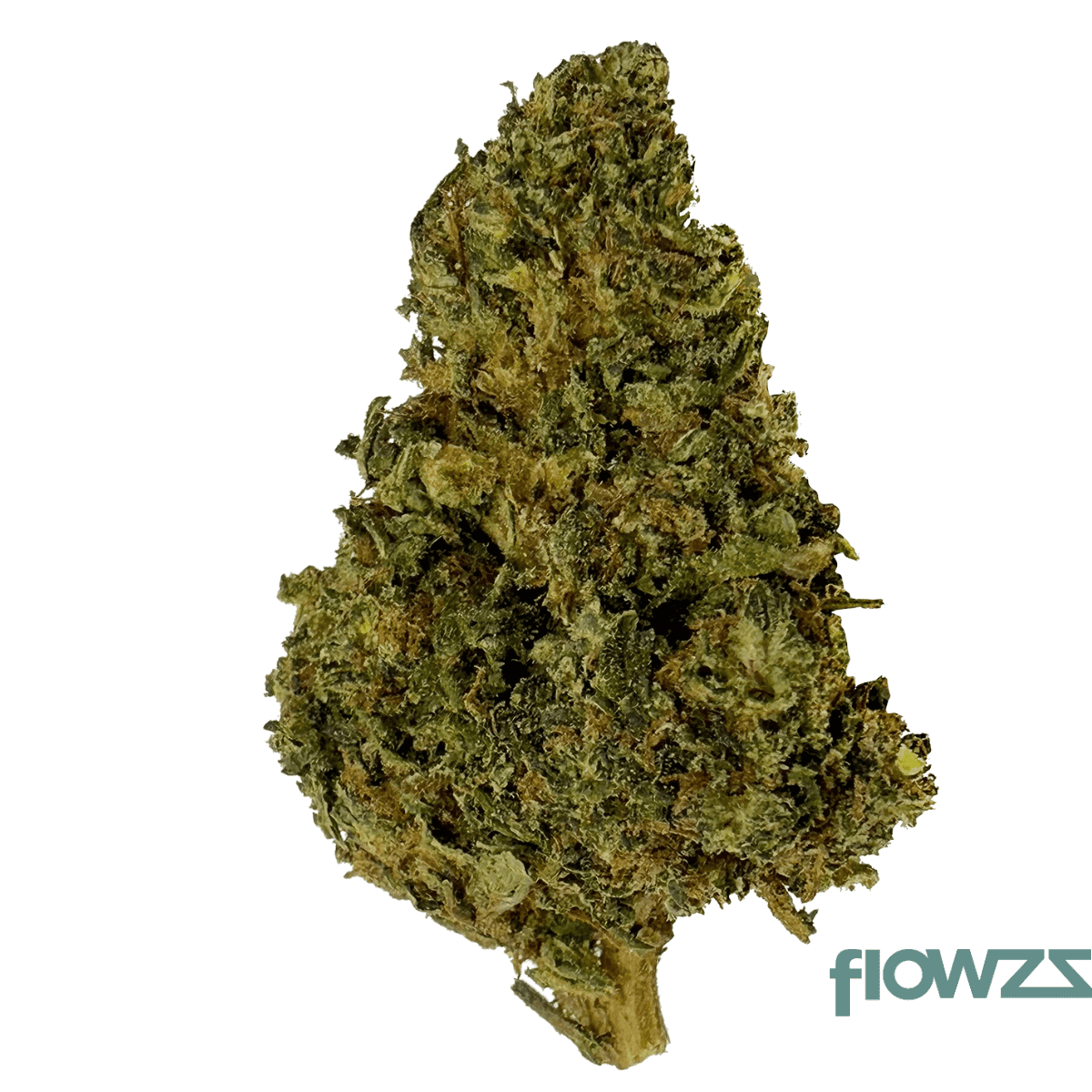 candoro-ethics-20-1-hybrid-soma-somango