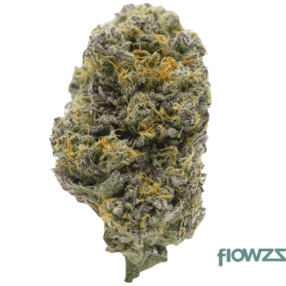 barongo-26-1-vpr-lemon-viper-mimosa