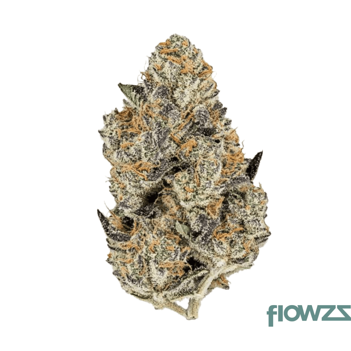 remexian-24-1-bpu-fof-face-of-fire