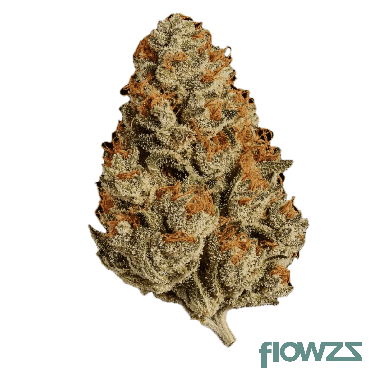 demecan-bh-epic-drop-30-1-bananaconda