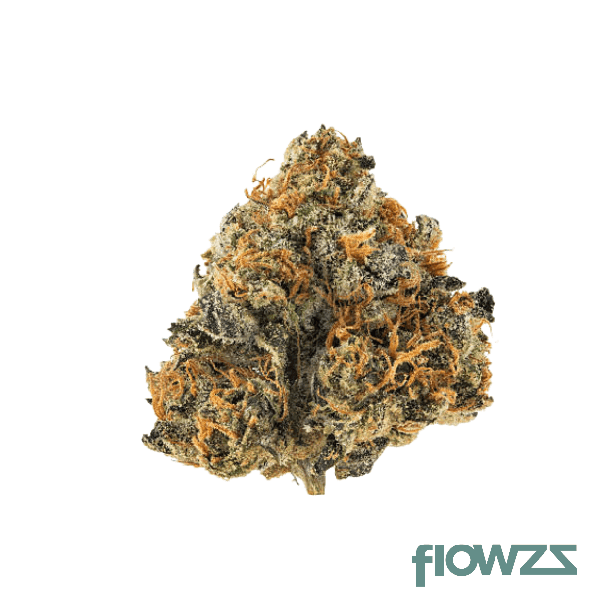 medical-saints-21-1-pex-phantom-express