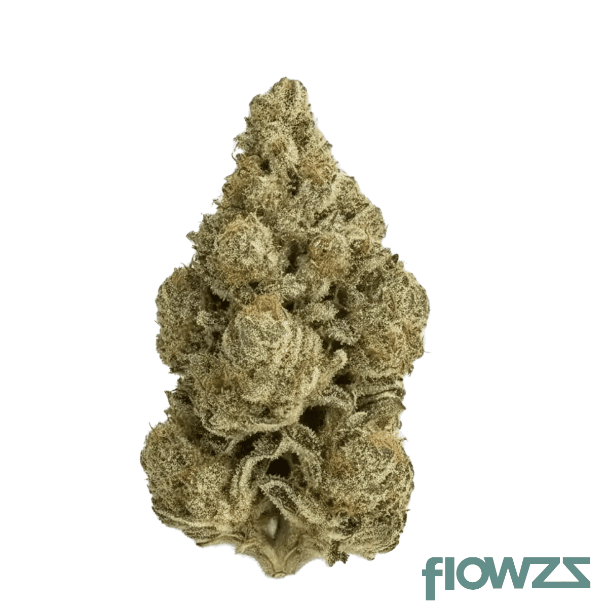 remexian-24-1-bbr-gas-gas