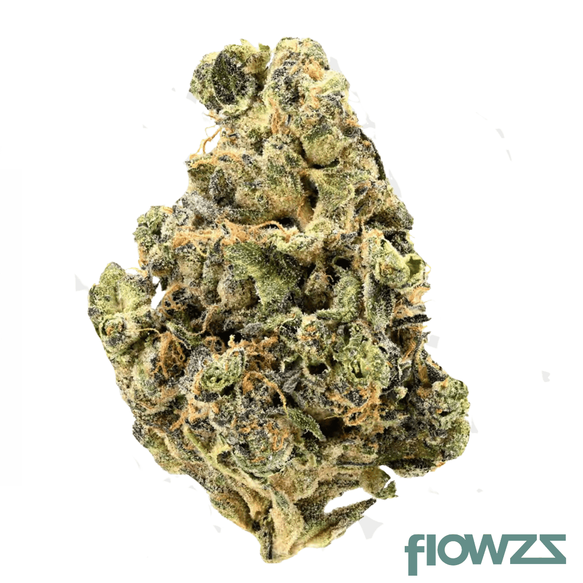 siggis-zbtl-28-01-siggis-zitronenbluete