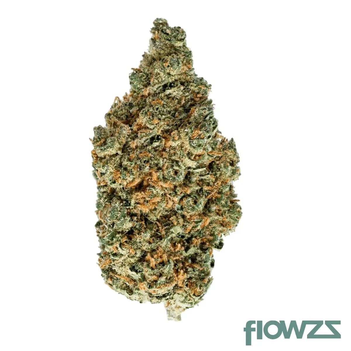 slouu-22-1-eg-ca-electric-grapefruit