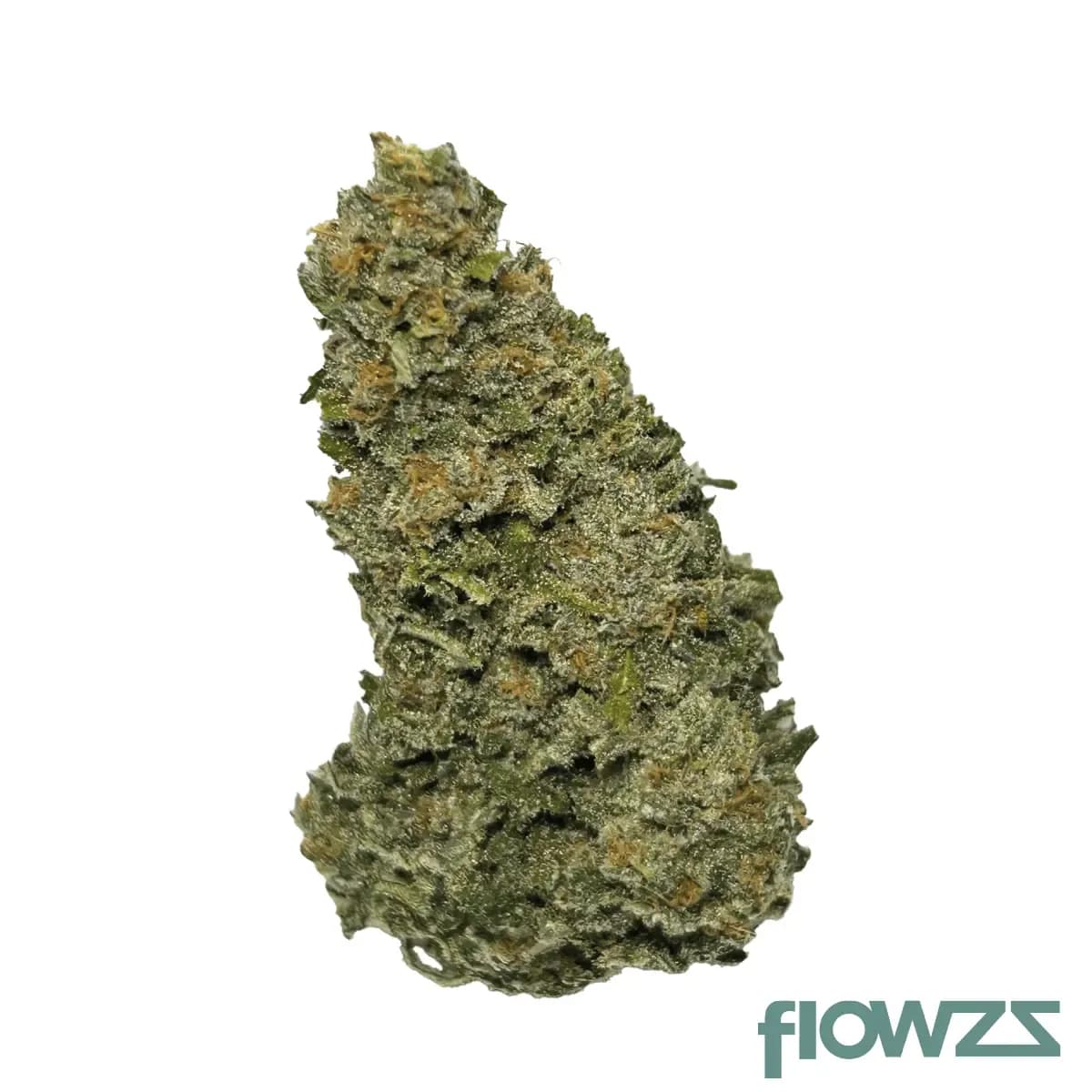 wellford-aquaponic-20-1-gth-ghost-train-haze