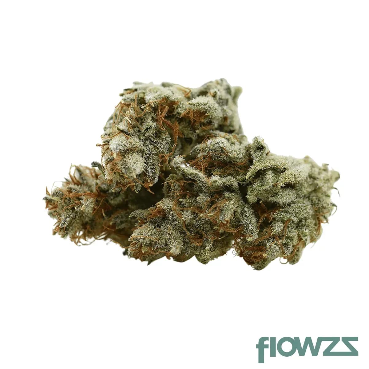 noc-se-21-scoop-of-chem-early-orange