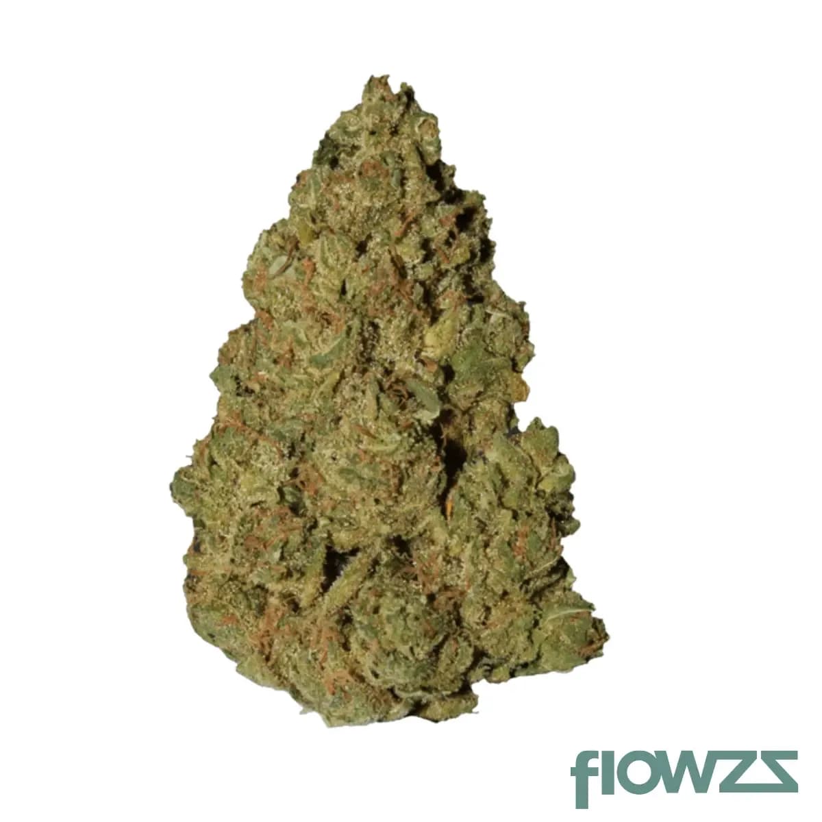 nedcann-ah-26-01-amnesia-d21