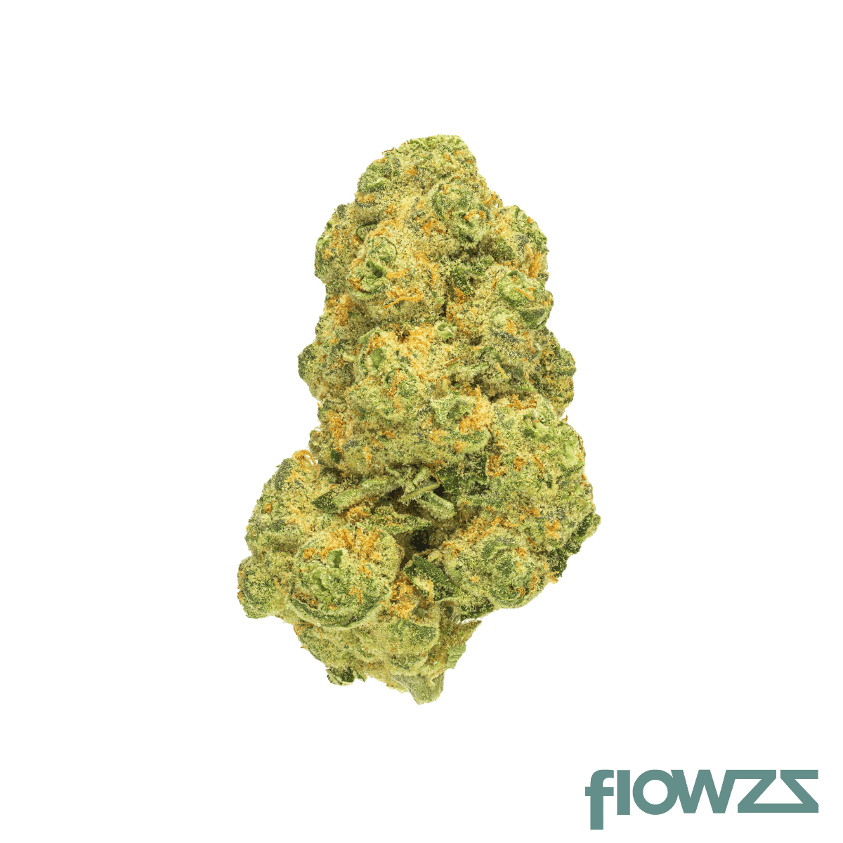 pedanios-31-1-cos-ca-cosmic-cream