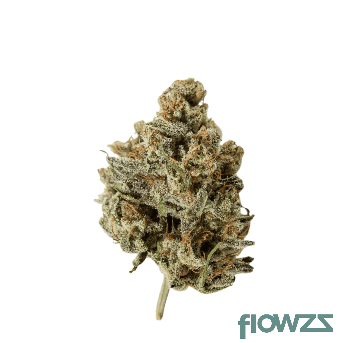 imc-pbg-thc-25-token-sour-beach