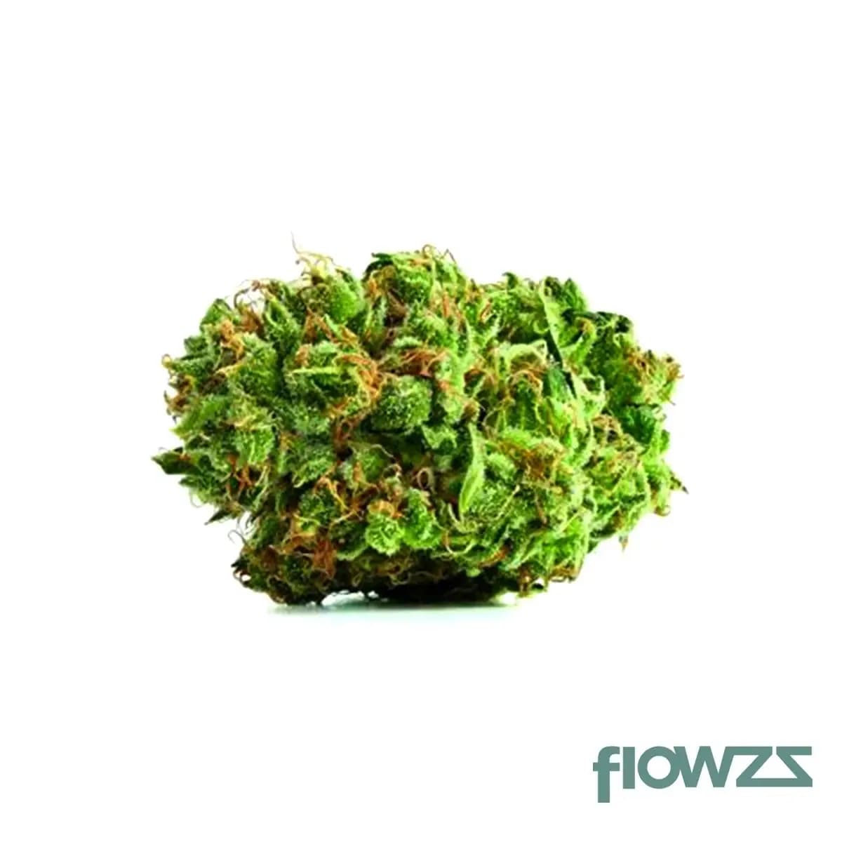 bakerstreet-22-hindu-kush