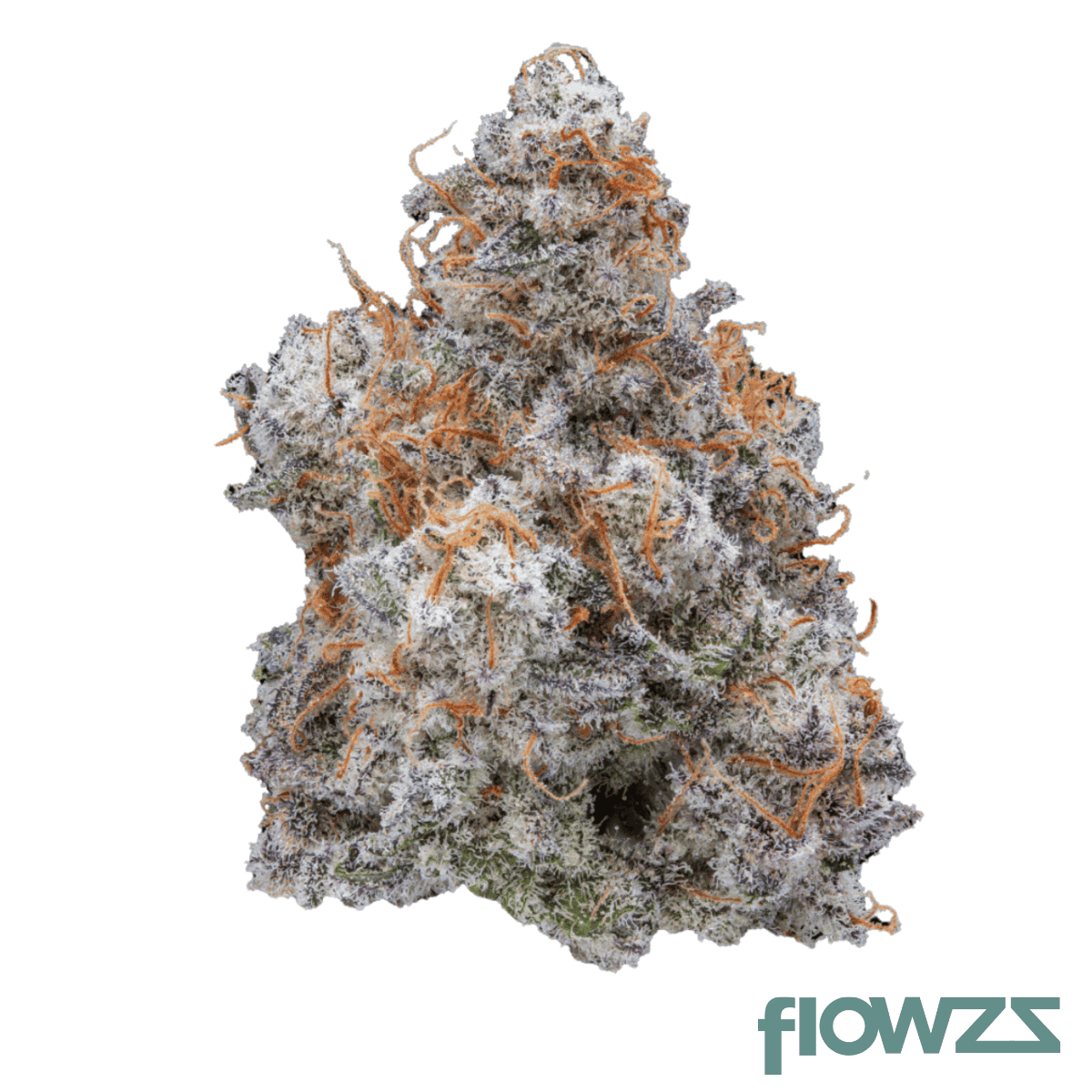 sumo-canada-craft-no-1-mac-deluxe