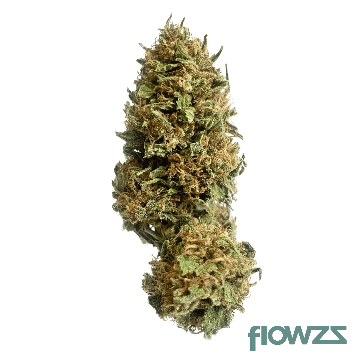Cannamedical Hybrid Classic - Blueberry Headband