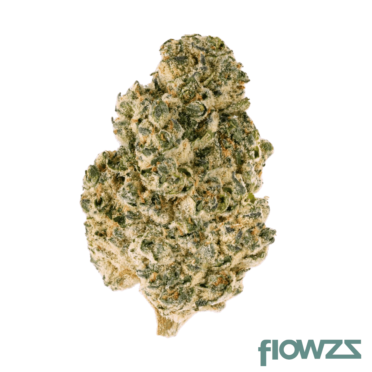 big-dreams-24-1-psf-baa-baked-animal