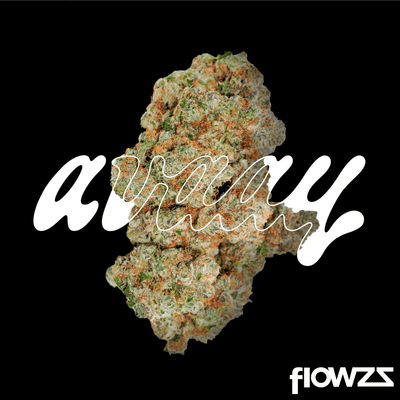 avaay-signature-31-1-ogc-ocean-grown-cookies_gal1