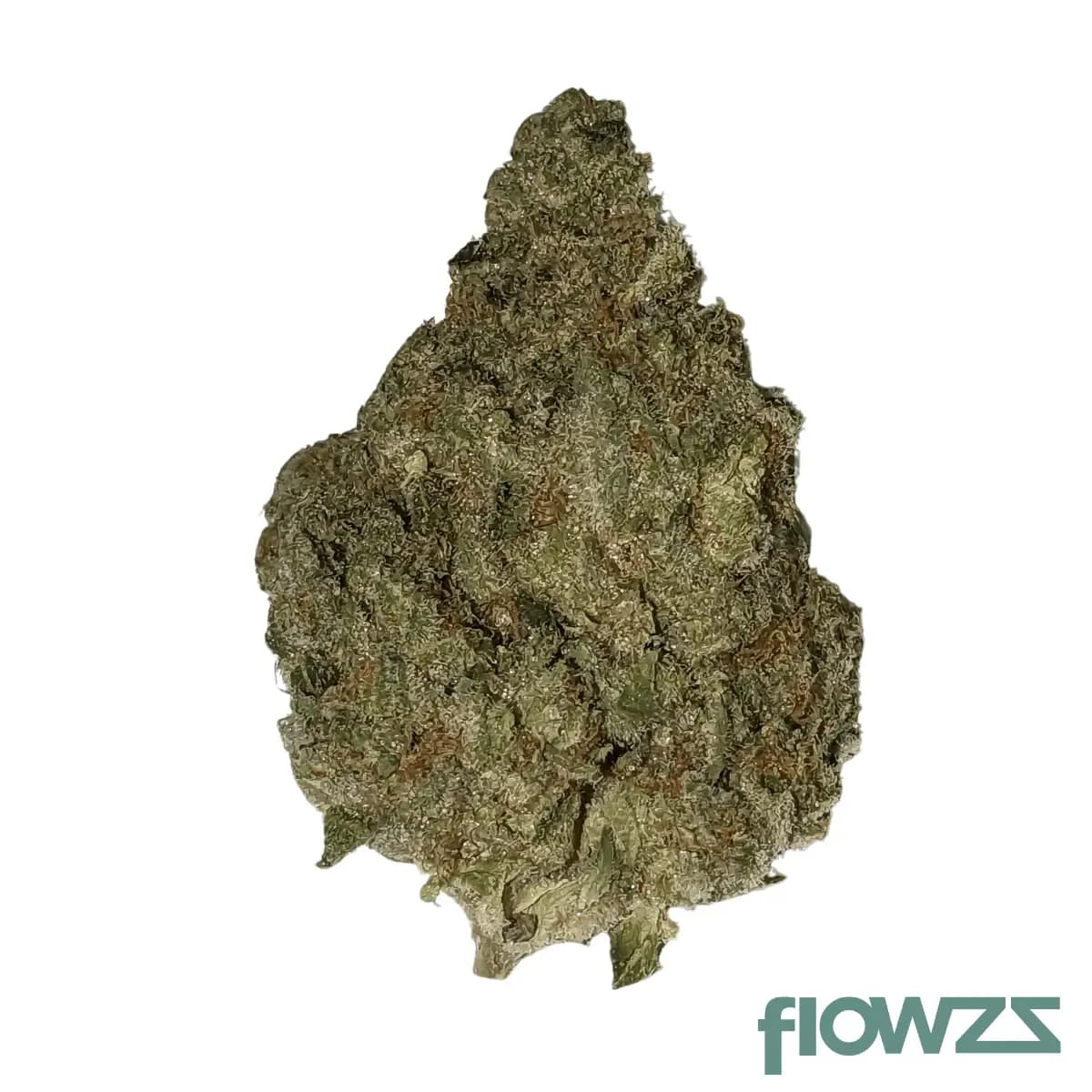 demecan-craft-d-jungle-3101-purple-punch-x-jungle-cake