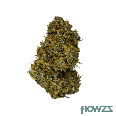 canopy-jh-19-1-jack-haze