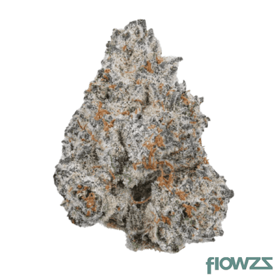 huala-27-1-uk-wtr-white-truffle